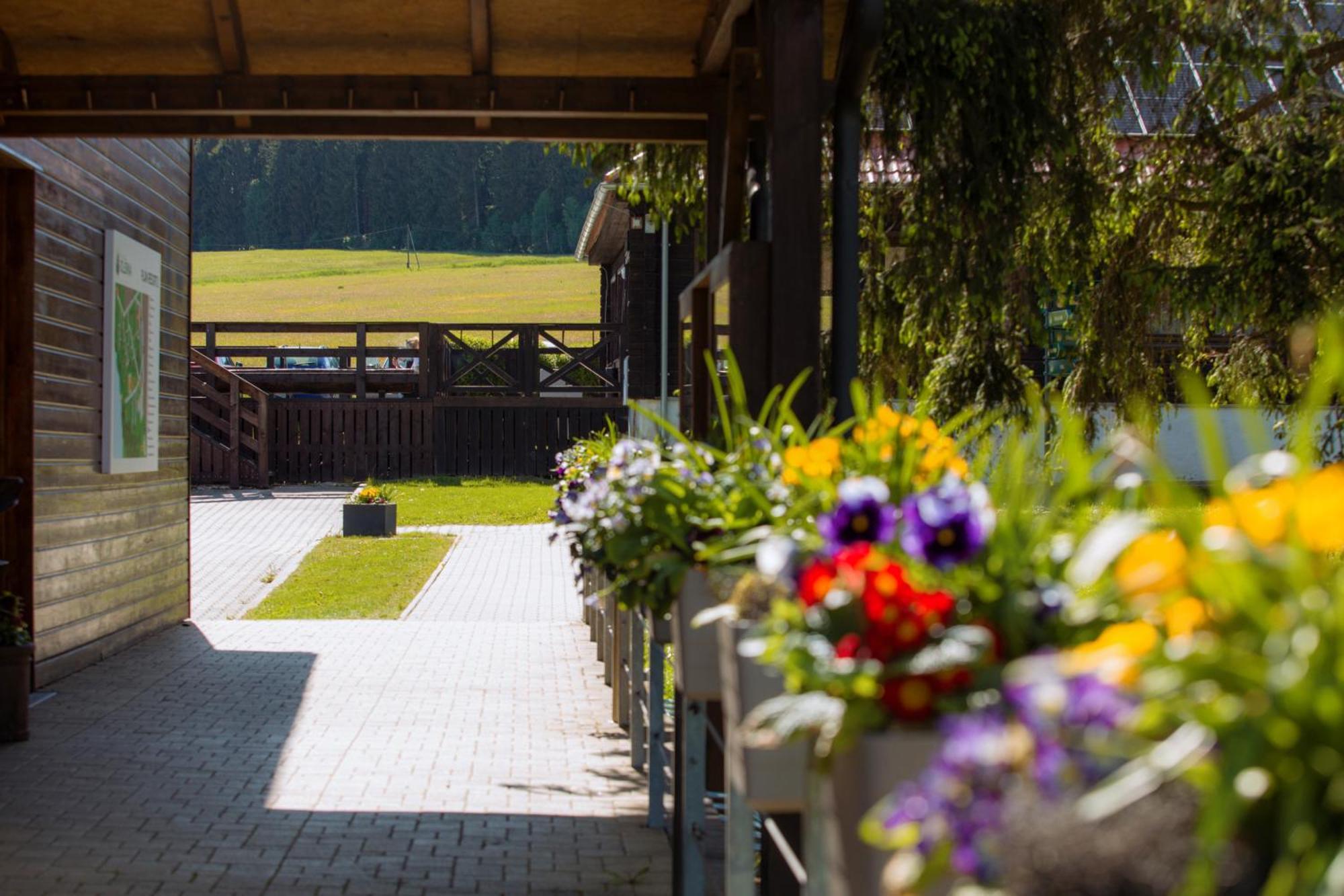 Resort Olsina Horní Planá Exteriör bild